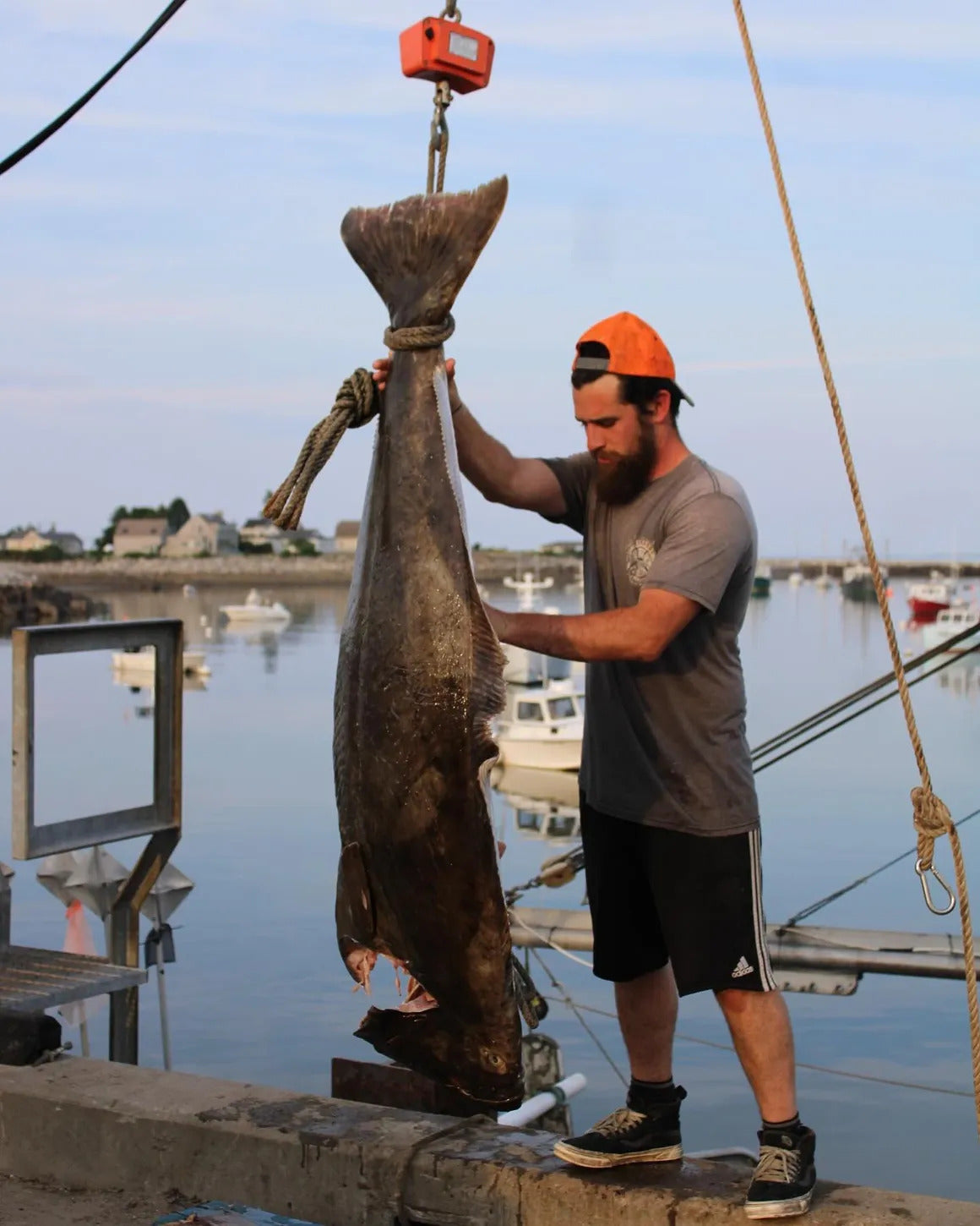 11/3: KNOW FISH Dinner®