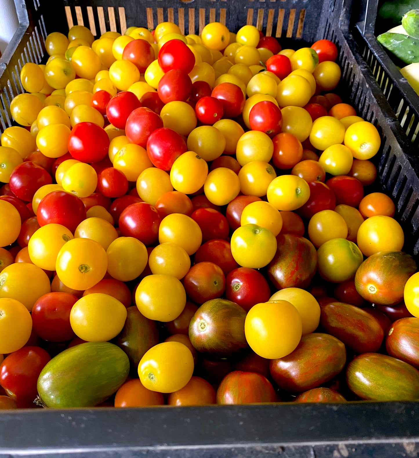 2023 Hobbs Farm Food Donation Program