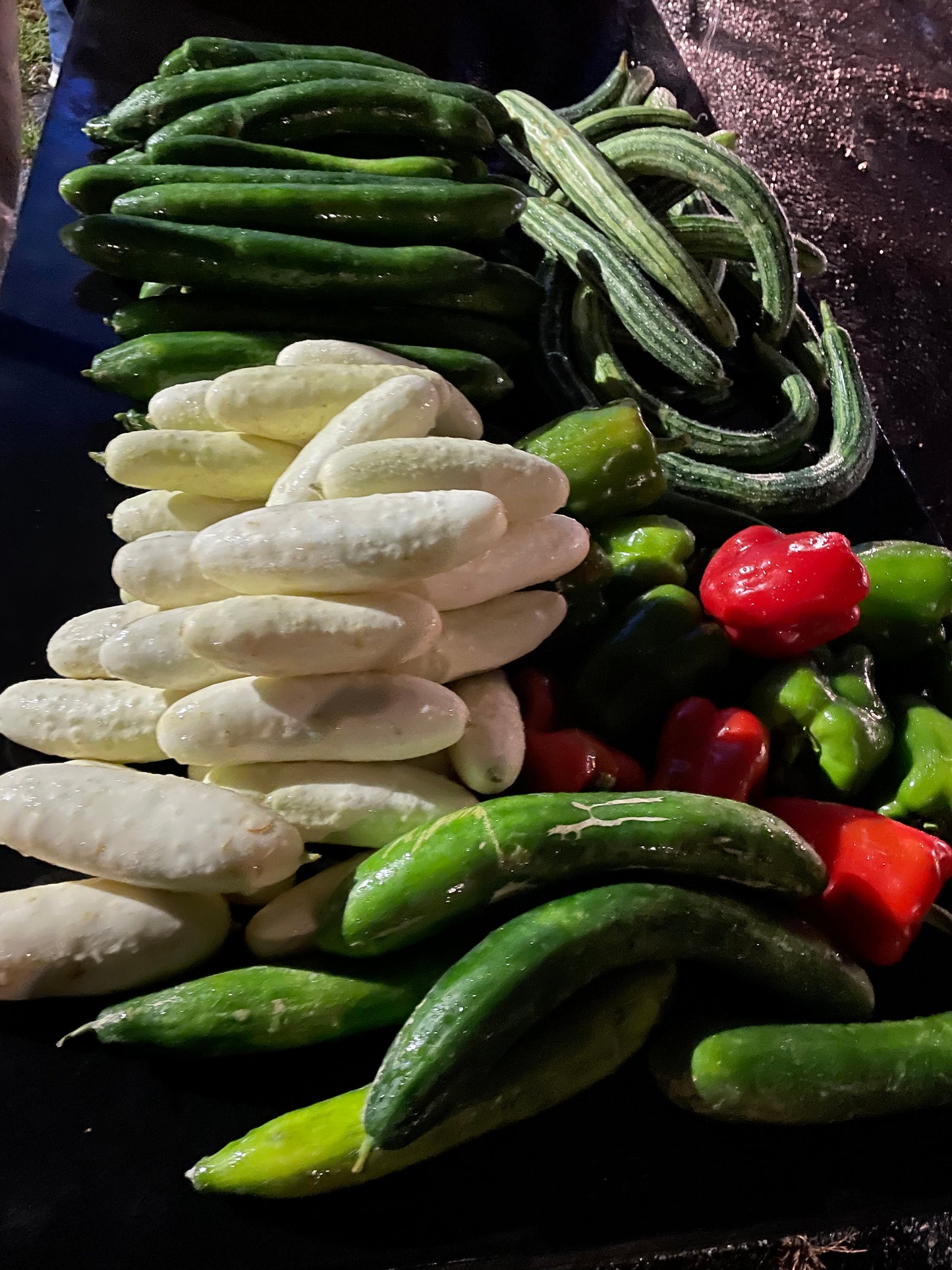 2023 Hobbs Farm Food Donation Program