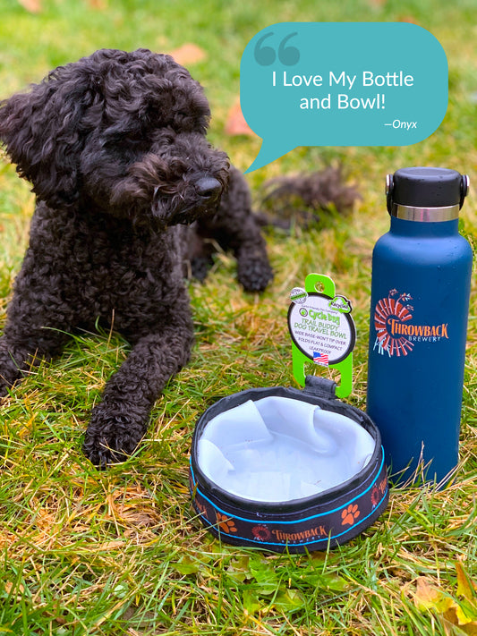 Dog Bowl & Hydroflask Hydration Bundle